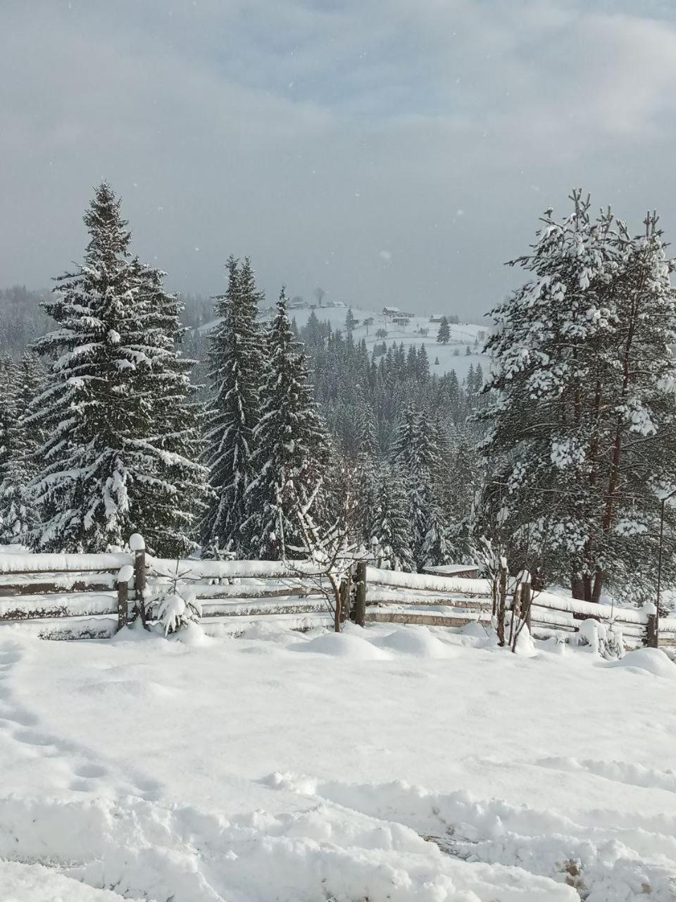 Котеджі Зоряне Небо Bukovel Eksteriør billede