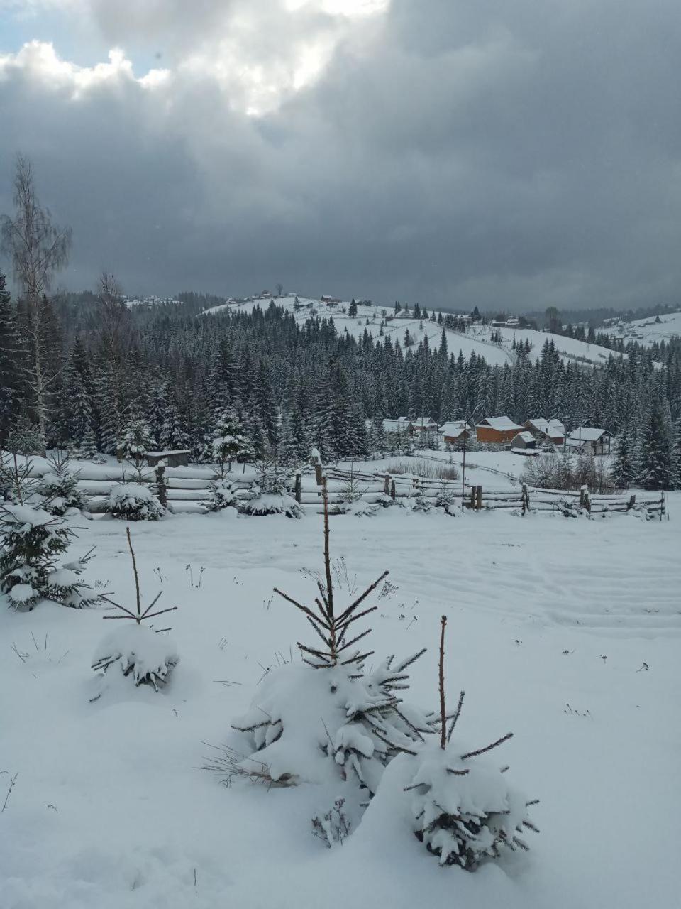 Котеджі Зоряне Небо Bukovel Eksteriør billede